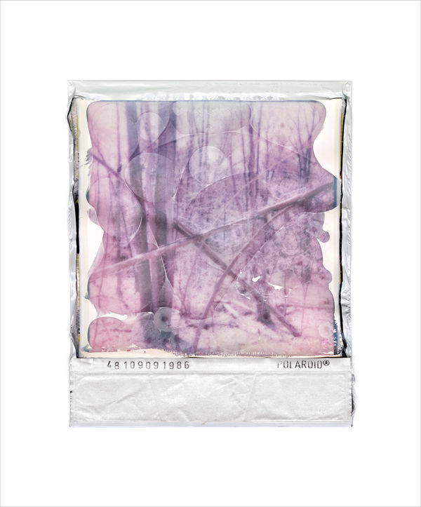 Gohar Dashti, Disappearing Nature #2, 2022