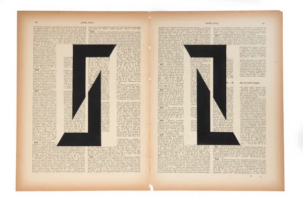 Marinda Vandenheede, Pars Pro Toto - Civil Appeal I, 2021