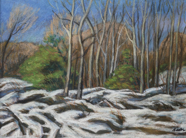 Jack Beder, Woods, Late November, 1983