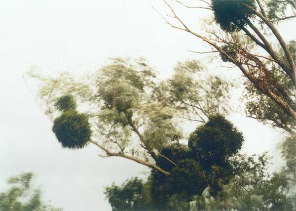 Elger Esser, Sully II, Frankreich, 2001