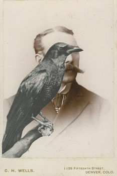 James Gallagher, Untitled, 2015