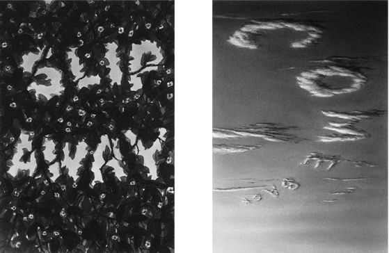 Steve Galloway, Slip Away, Come Back, 2009