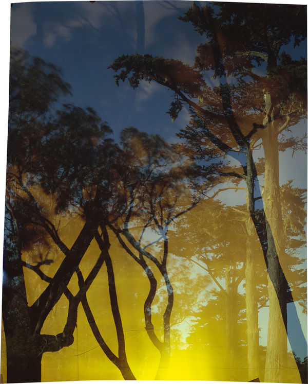 John Chiara, Carolina : Starr King : Middle Road, 2021