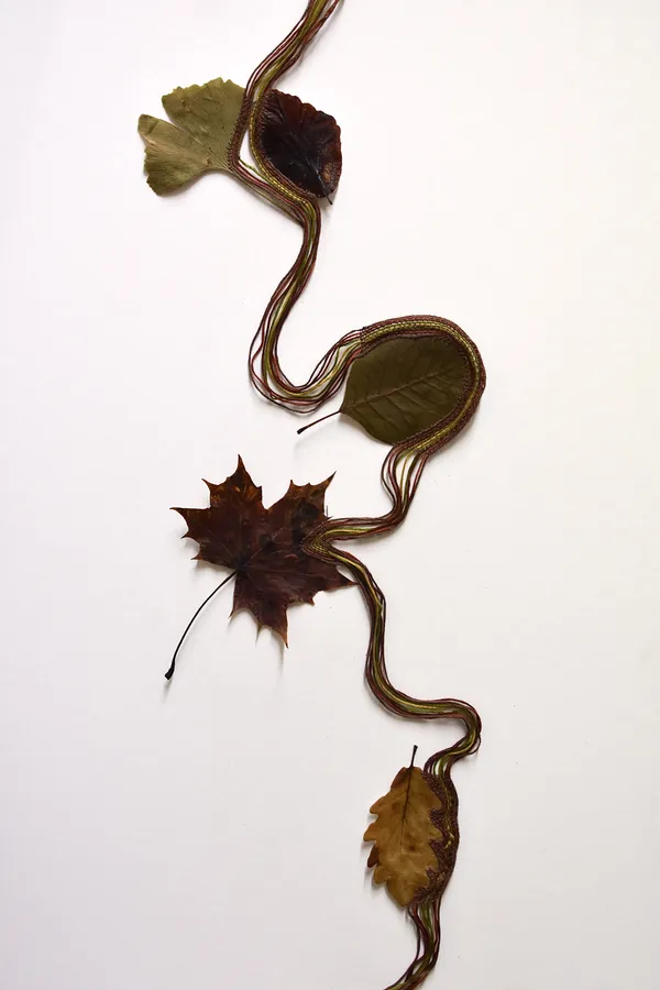 Poppy Gannon, I wave goodbye to water my toes won’t touch again, 2026