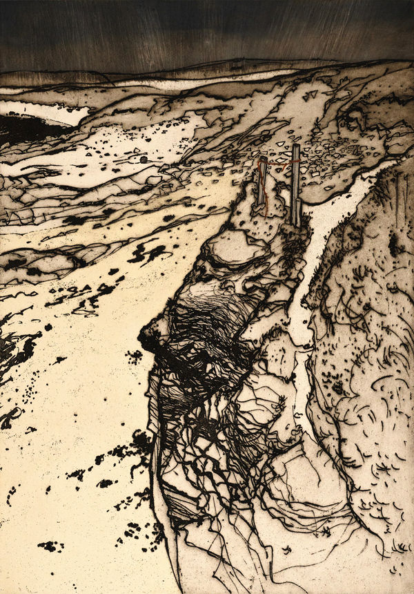 Frances Walker RSA Cliff Path, 2024 Etching on Somerset Newsprint Grey 280gsm paper Image: 69 x 48 cm Paper: 89 x 66 cm Edition of 26
