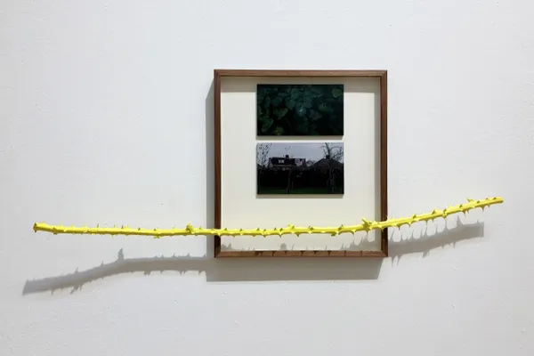 Solomon Pawlyn, Magick, 2026