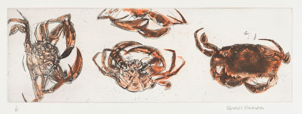 Elizabeth Blackadder RSA Crabs, 2010 Etching 42 x 80 cm Edition of 80