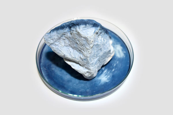 Anne Bevan RSA (Elect) + Mark Edmonds all manner of singular forms (Erratic 3), 2024 Cast plaster with ink and watercolour in glass dish Approx. 20 x 12 cm