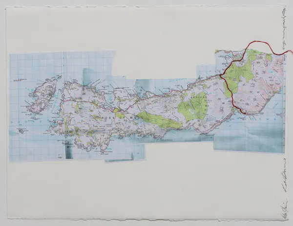 Katie Downie, Helen Goodwin, Ju Hongshen and Xu Yun Collaboration IV Mixed media on paper 57 x 78 cm