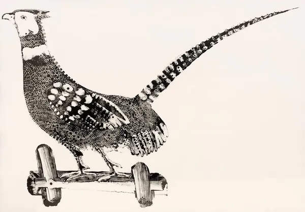 Stuart MacKenzie RSA Pheasant II Oil on paper 84 x 106 cm