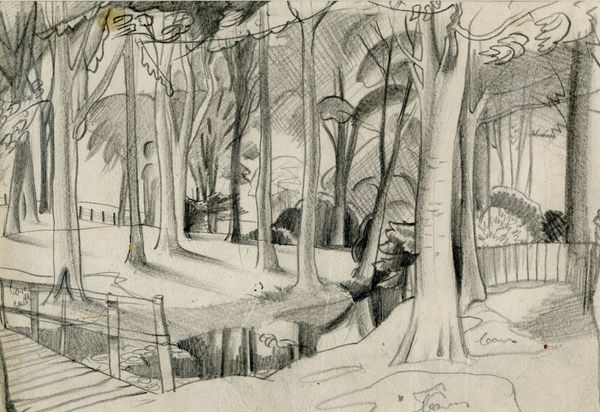 William Gillies RSA Trees on the Letham Burn, Haddington, c. 1926-27 pencil on paper 17.5 x 25.4cm