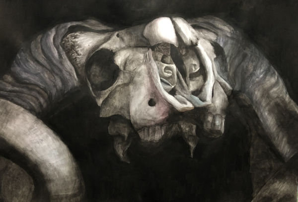 Abby Quinn First Prize Greenfaulds High School