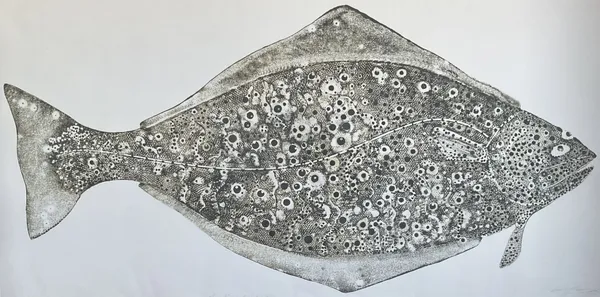 Stuart Mackenzie RSA, Species Morphology: Halibut 1, 2025