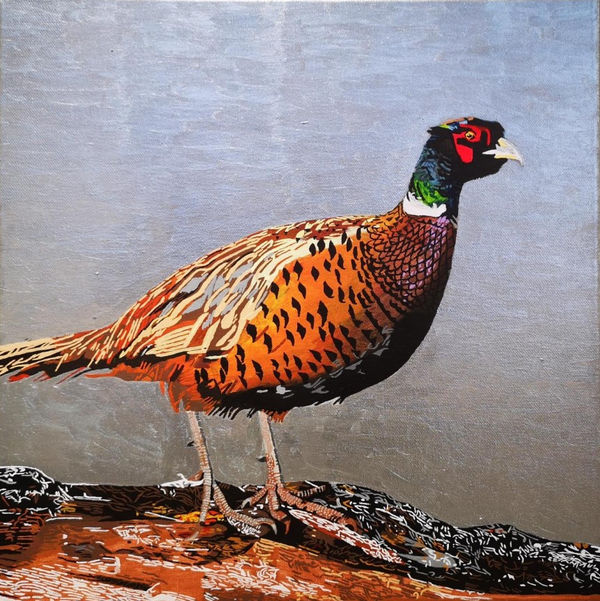 Pheasant