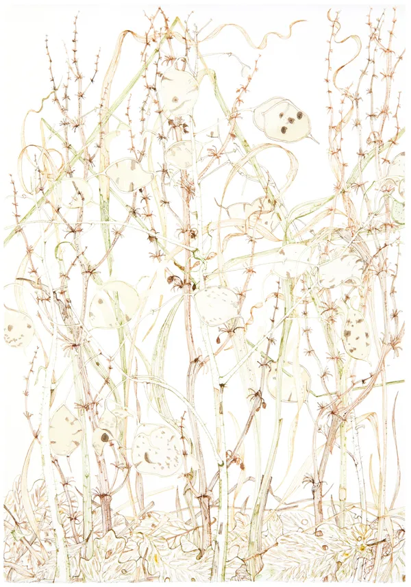 Jane Hyslop RSA January Collection I, Midlothian, 2021 Pen and gouache on paper Image: 32.5 x 22.5 cm Framed: 41.5 x 31.5 cm