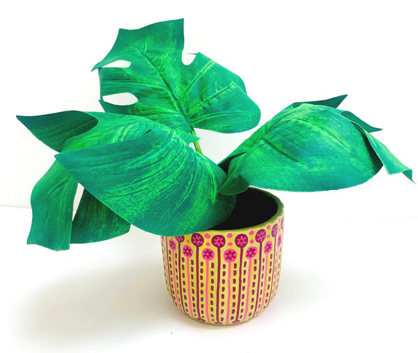 Tallulah Batley, plante decorative (2), 2025