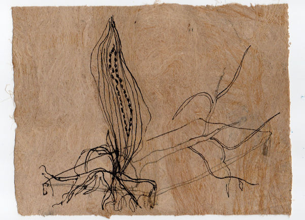 Gosia Walton I want to be a tree 1, 2025 Ink, coloured pencils, gouache on Amate bark paper, mounted on black foam board 15 x 20 cm