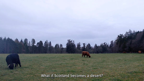 Rod Milne, What if Scotland becomes a desert?, 2023