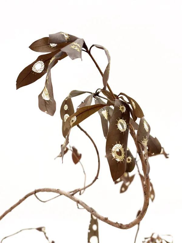 Poppy Gannon, Gently munching, ferocious I feed, 2026