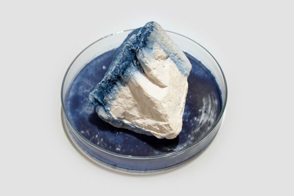 Anne Bevan RSA (Elect) + Mark Edmonds all manner of singular forms (Erratic 1), 2024 Cast plaster with ink and watercolour in glass dish Approx. 20 x 12 cm