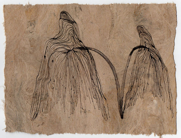 Gosia Walton I want to be a tree 2, 2025 Ink, coloured pencils, gouache on Amate bark paper, mounted on black foam board 15 x 20 cm