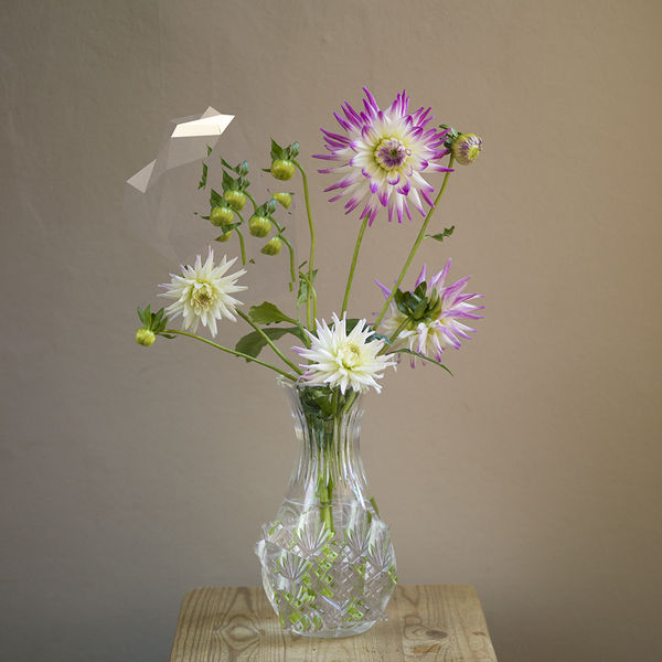 Wendy McMurdo RSA Indeterminate Object VI (Flora), 2020 C-type photographic print 80 x 80 cm Edition of 25