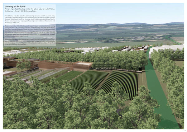 Ramsay Taylor, Growing for the future 1/9