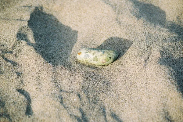 Abbie Mclardie, First Contact, 2025