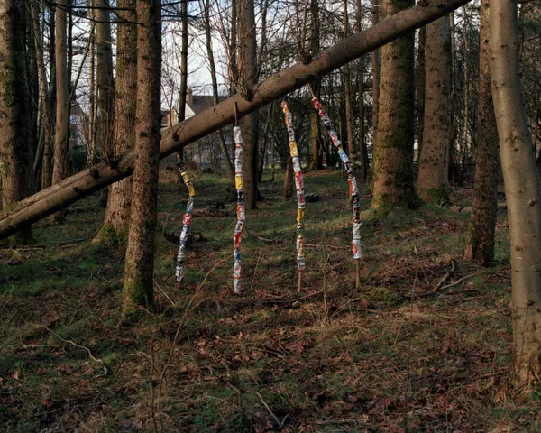 Finley Blue Morgan, The Fields of Metal Fences, 2024