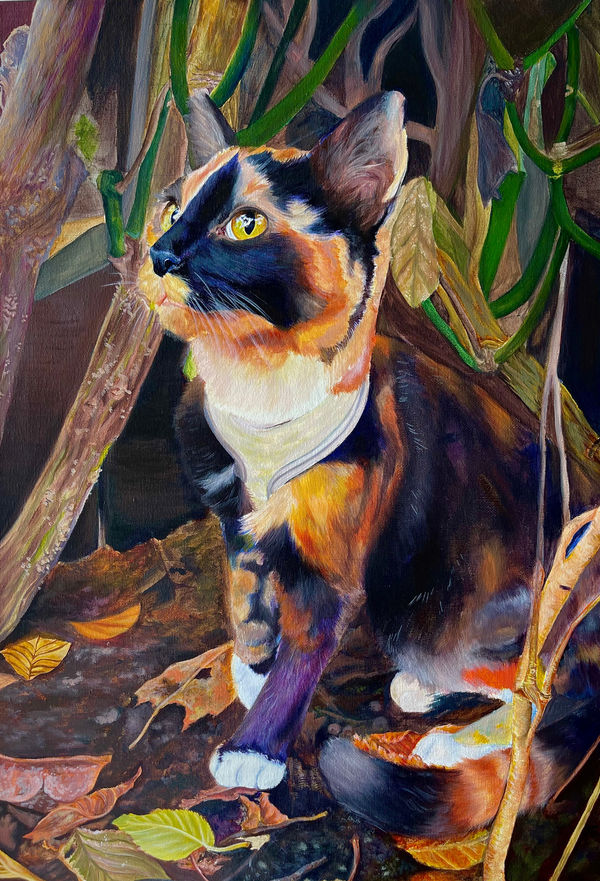 Maddison Borthwick Intermediate Prize Wester Hailes