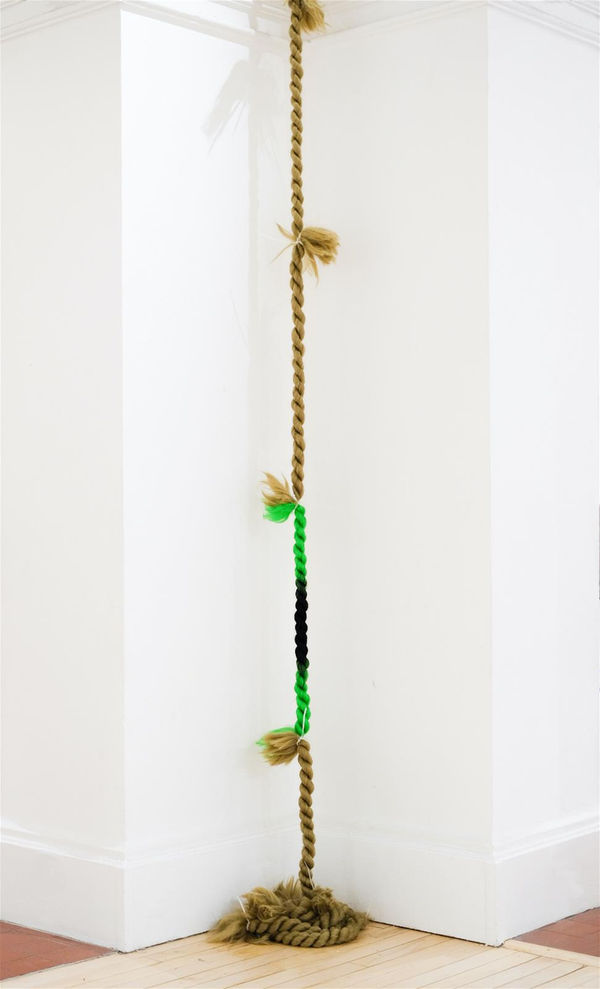 Evie Edwards, Fairy-tail