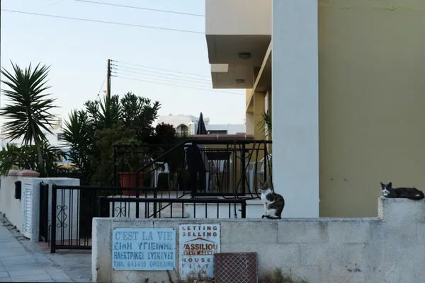 Claire Maria Carey, Visiting Host VI, 2026