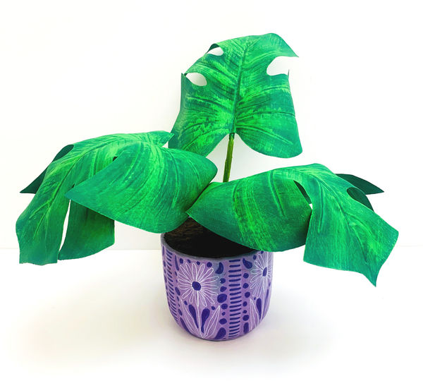 Tallulah Batley, plante decorative (1), 2025