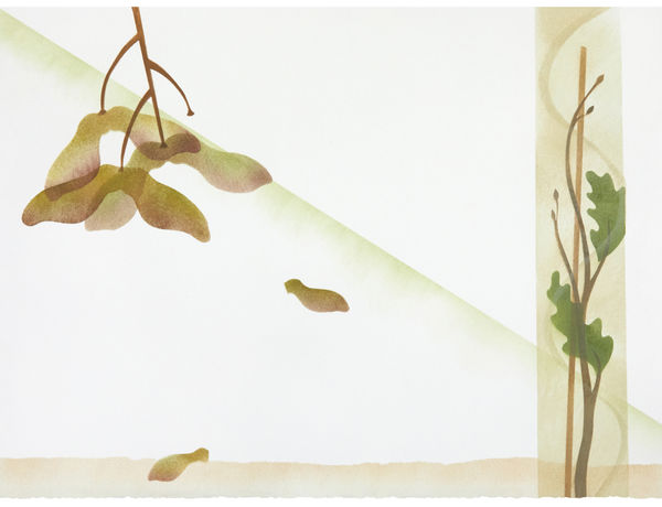 Jane Hyslop RSA, XV The Oak Tree: a tribute to eternity, October, November 2020 , 2023