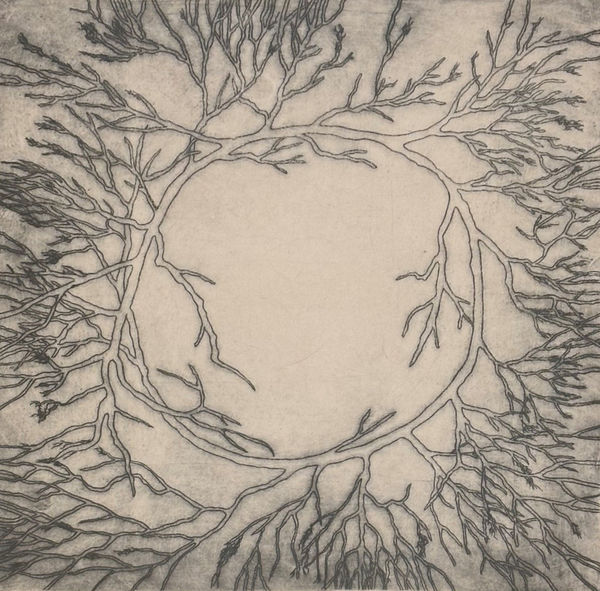 Adrienne Murray, Circle of Roots