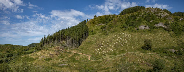 Gabriele Stuckemeier, Ormaig Landart Project