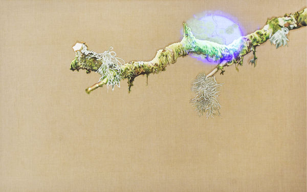 Rachy McEwan, Modern Synthesis, 2021