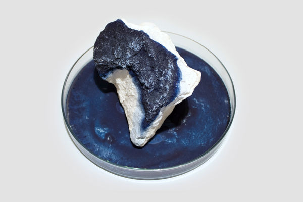 Anne Bevan RSA (Elect) + Mark Edmonds all manner of singular forms (Erratic 5), 2024 Cast plaster with ink and watercolour in glass dish Approx. 20 x 12 cm