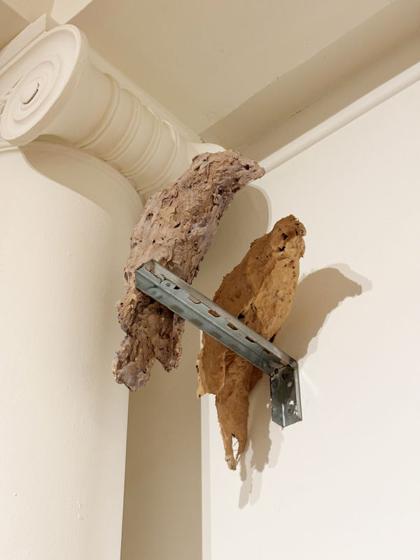 Joe Cameron, Birds #1-3, 2025