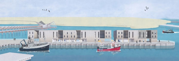 Meghan Rasmussen, Co-Living - Elevation , 2020