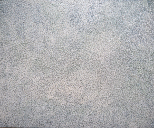 Samantha Clark All Brightness and Light, 2024 Acrylic on cradled board 51 x 61 cm