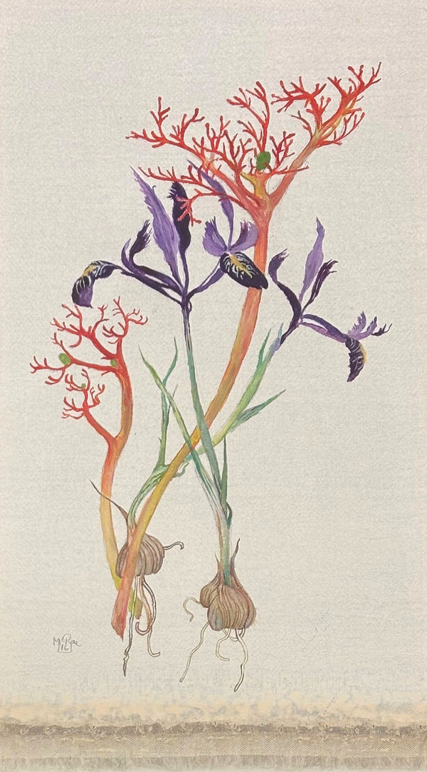 Jennifer McRae RSA Mixed Species Oil on linen 30 x 15 cm