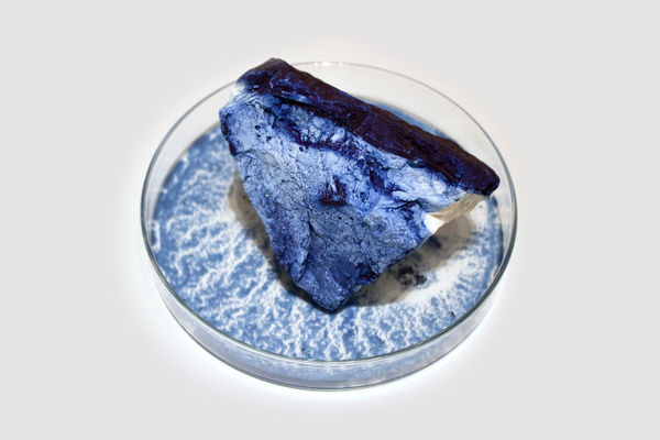 Anne Bevan RSA (Elect) + Mark Edmonds all manner of singular forms (Erratic 7), 2024 Cast plaster with ink and watercolour in glass dish Approx. 20 x 12 cm