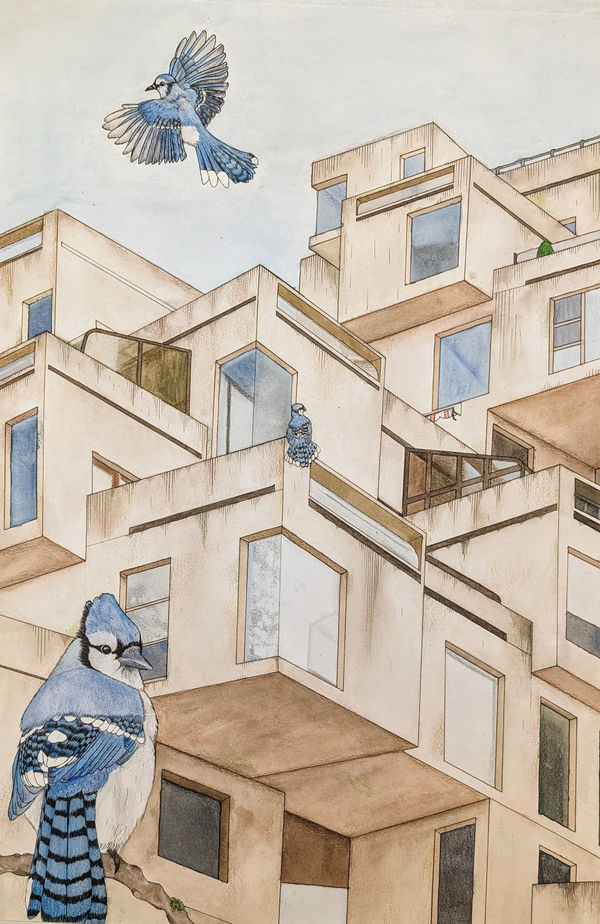 Alice McGuire Highly Commended in the Senior Category Leith Academy