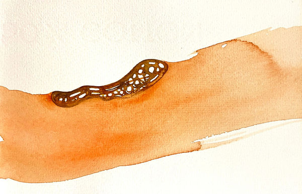 Gareth Fisher PRSA The Alessandria Series 17, 2000-01 Watercolour on paper 10 x 15 cm