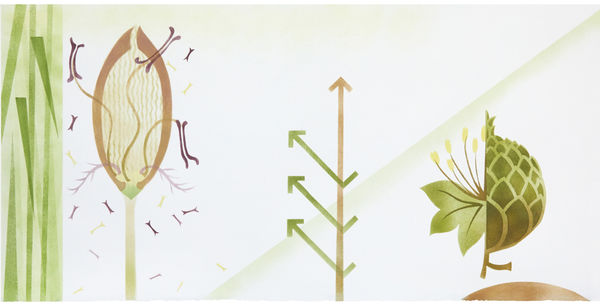 Jane Hyslop RSA, XIV The Oak Tree: a tribute to eternity, July, August, September 2020, 2023