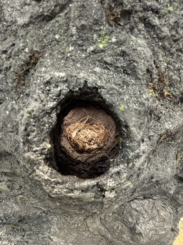 Oli Turner, Portal (3), 2025