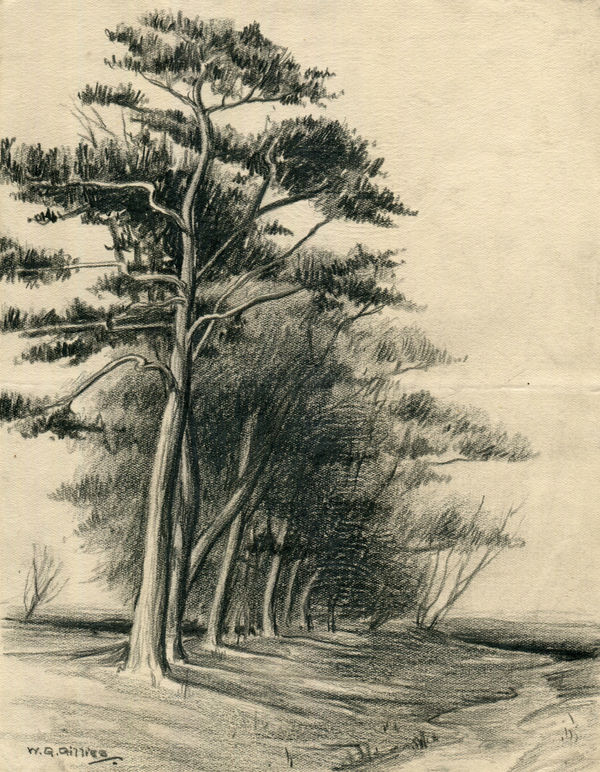 William Gillies RSA Row of Trees Beside a Stream, c. 1916-19 pencil on paper 22.8 x 17.8cm (support)