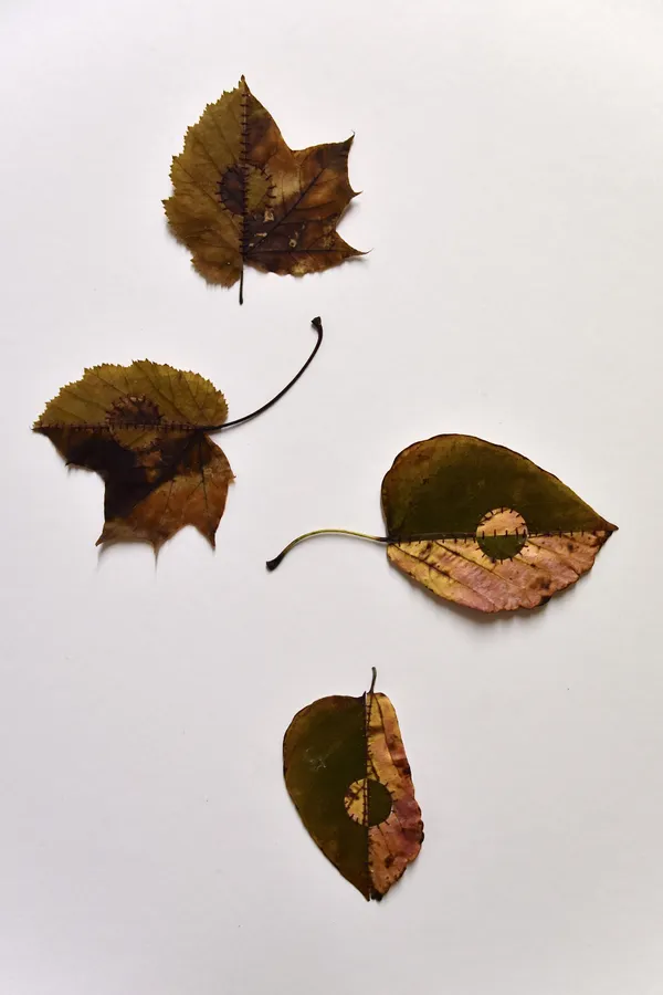 Poppy Gannon, Tugged apart, 2026