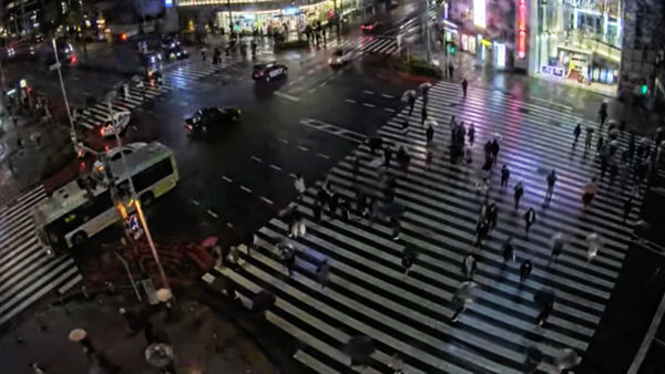 Rod Milne, The killing (for culture), 2022